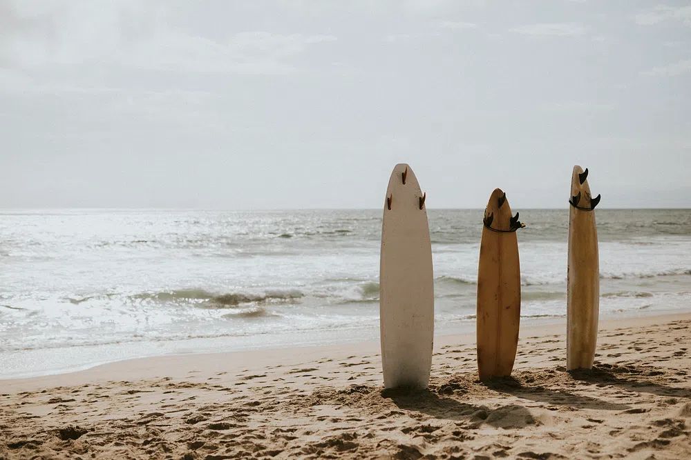 Surfboards on the Beach — Photography Print. poster — photography art