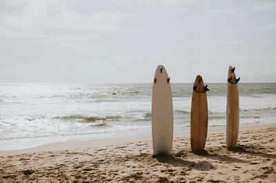 Surfboards on the Beach — Photography Print. poster