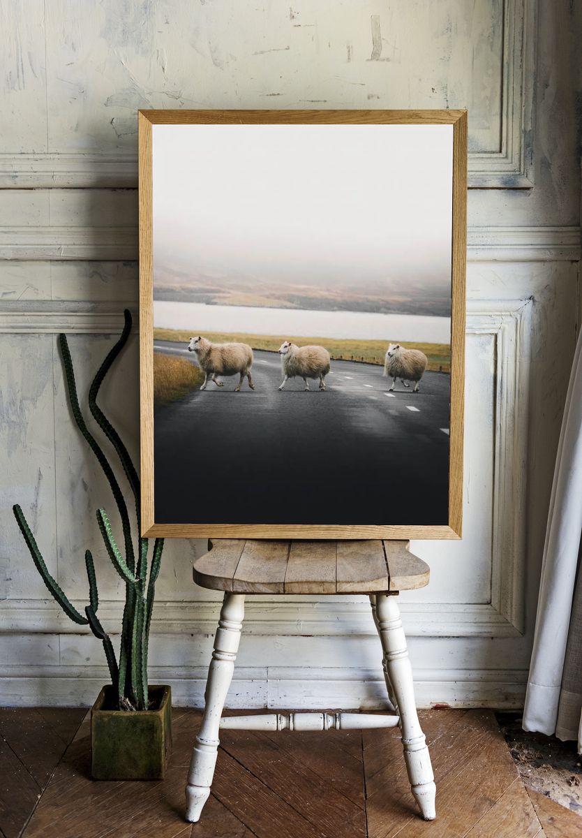 Sheep Crossing — Nature Photography Poster. room preview