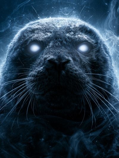 Glowing Seal Portrait Poster.