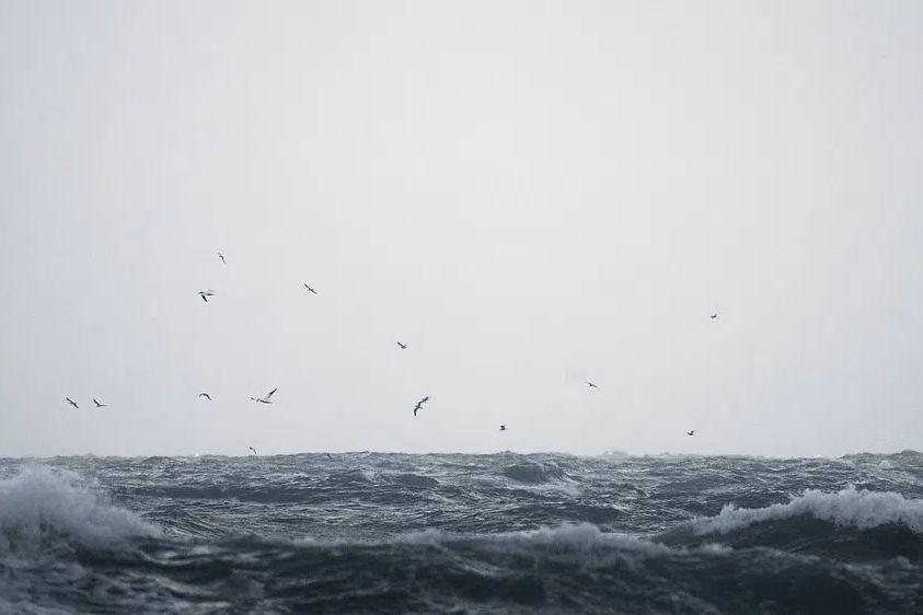 Ocean desktop wallpaper background, HD. poster — photography art
