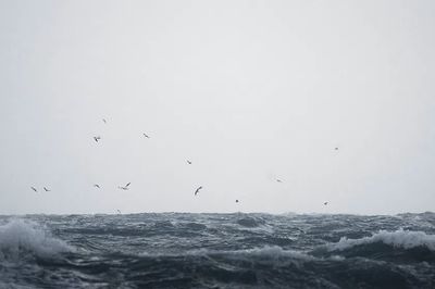 Ocean desktop wallpaper background, HD.