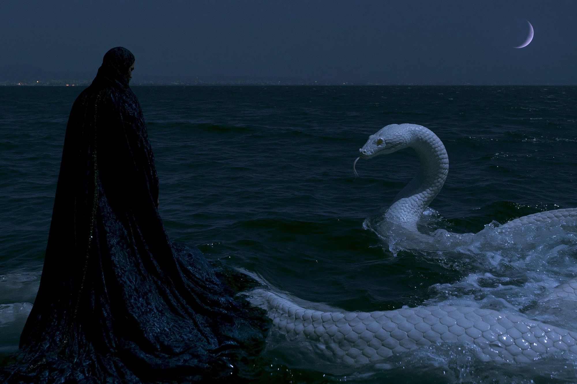 Moonlit Sea Serpent Poster. poster — illustration art