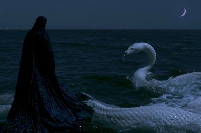 Moonlit Sea Serpent Poster.