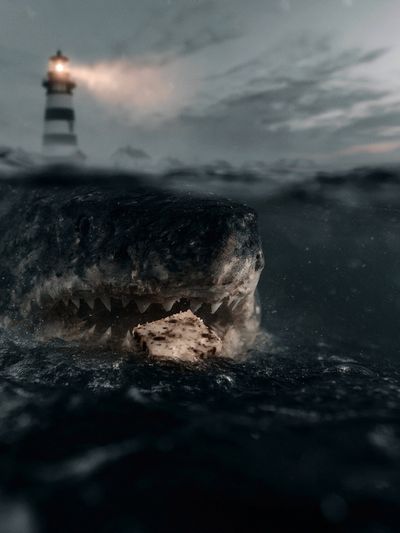 Shark at Lighthouse — Photography Print. poster