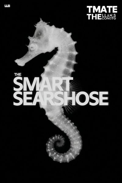 Seahorse — Minimalist Print. poster