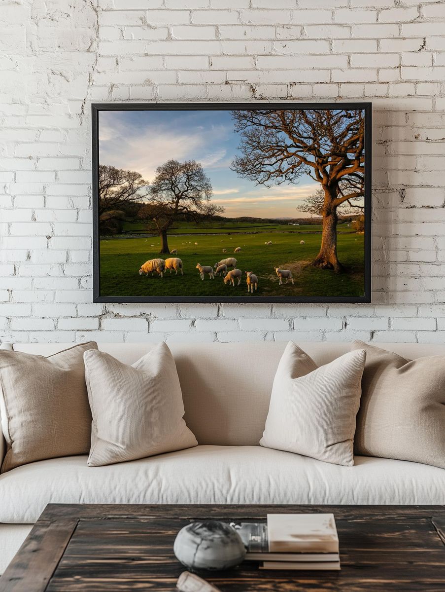 Sheep Grazing at Sunset Poster. — room view 1