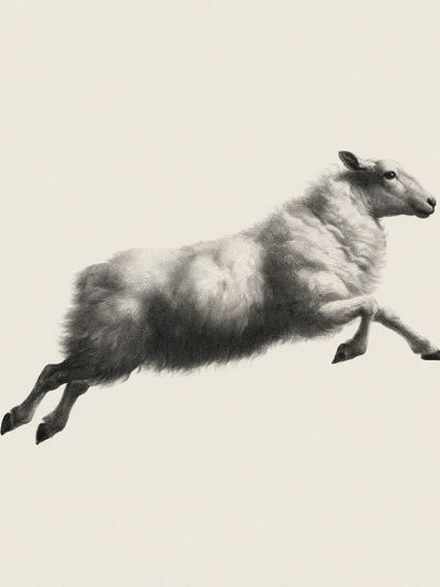 Leaping Sheep Black-White Print.