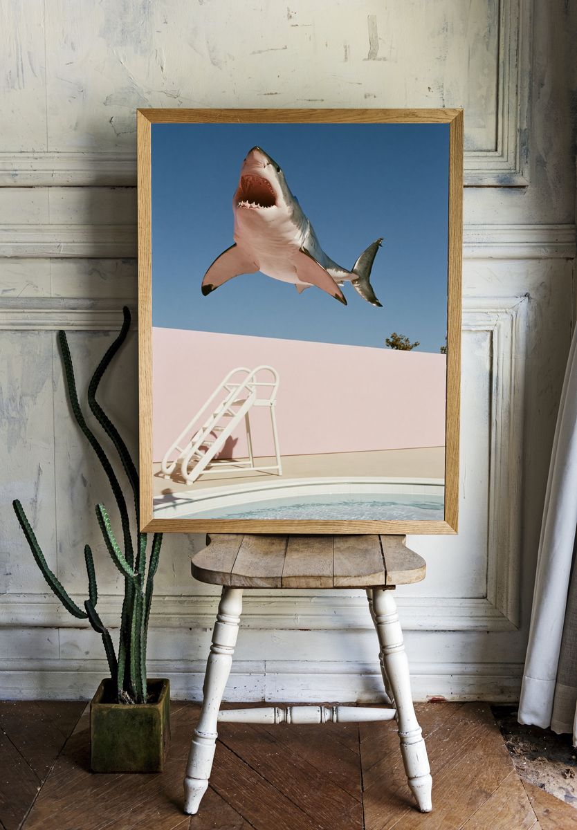 Shark Pool Dive Photography Poster. room preview