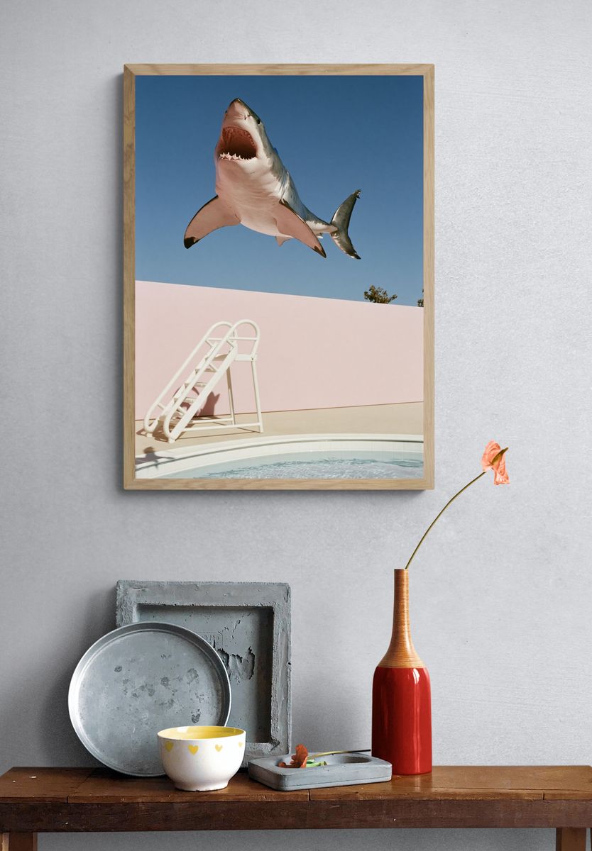 Shark Pool Dive Photography Poster. — room view 3