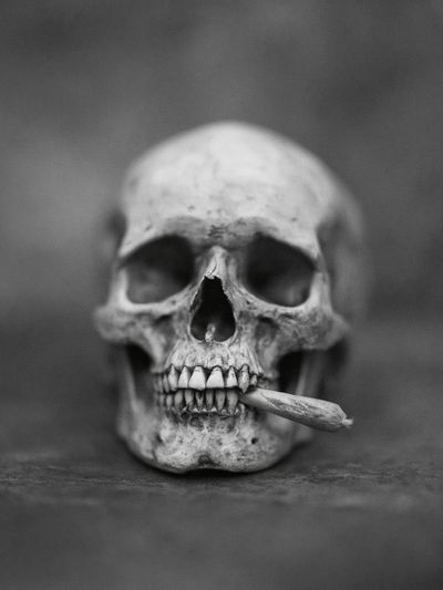 Skull with Cigarette Black-White Poster. poster