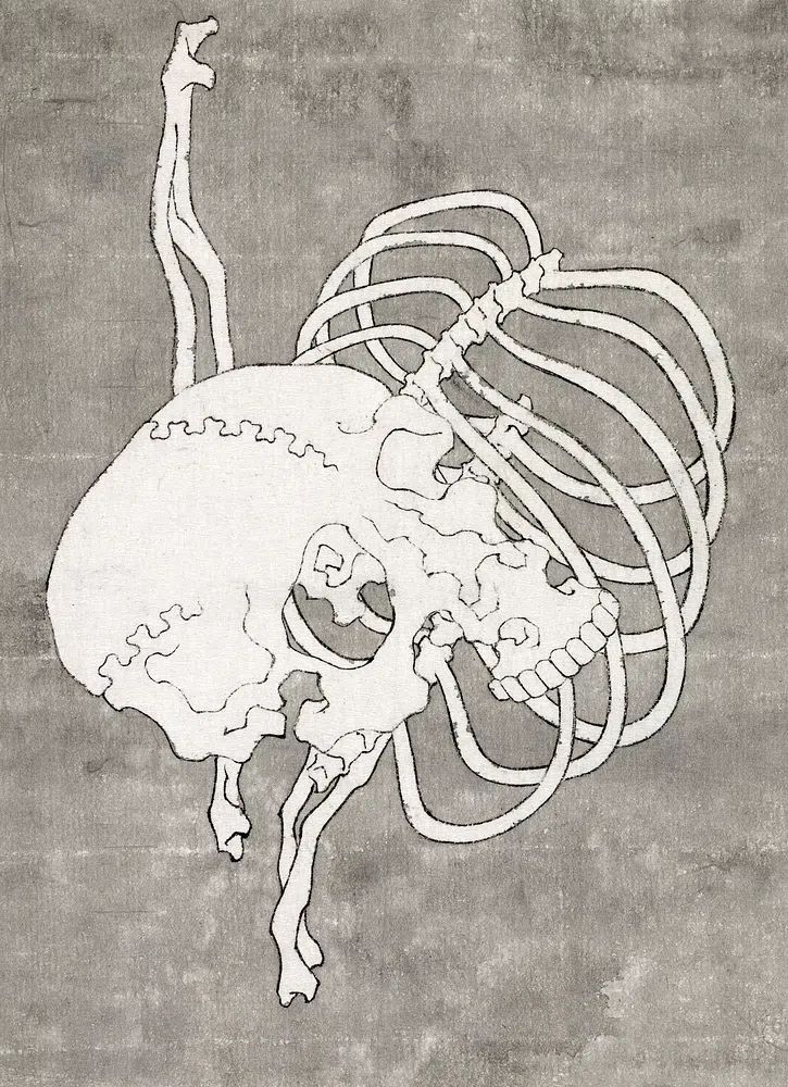 Anatomical Skull and Ribs — Minimalist Print. poster detail