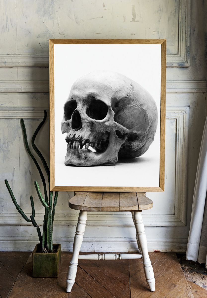 Human Skull Black-White Poster. — room view 1