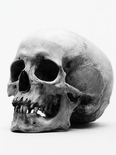 Human Skull Black-White Poster.