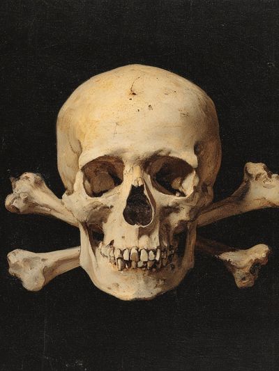 Skull and Crossbones Vintage Print. poster print