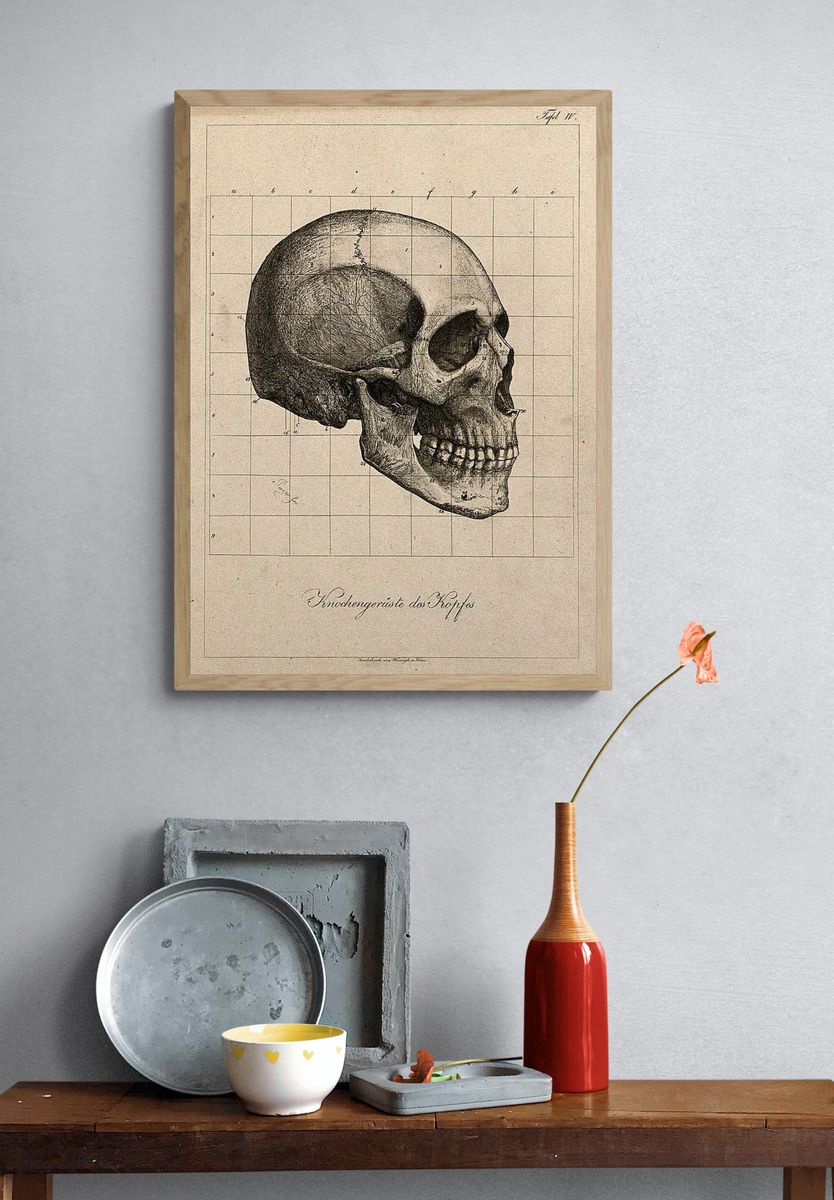 Human Skull Anatomy Poster. — room view 3