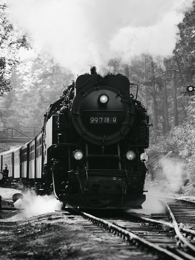 Steam Locomotive in the Forest Print. poster