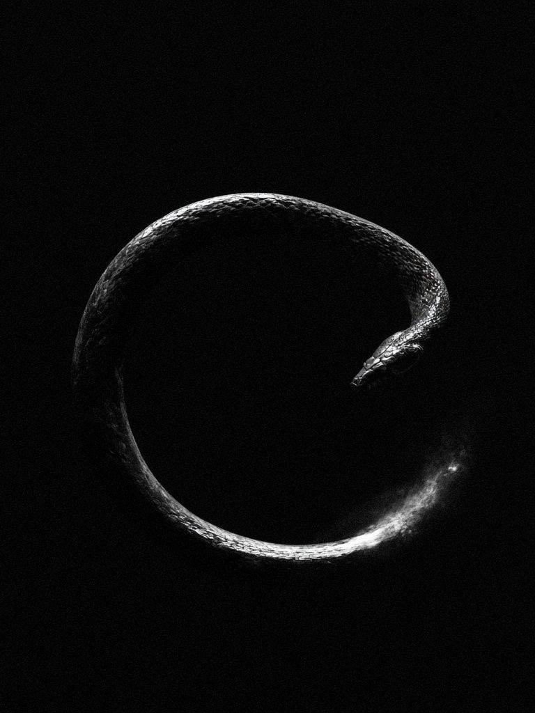 Snake Circle Black-White Poster. poster — animals art