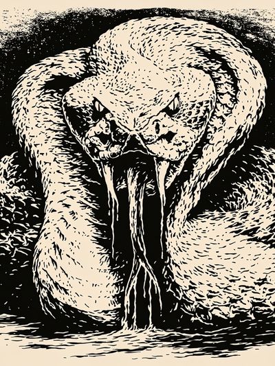 Venomous Snake Ink Poster. poster