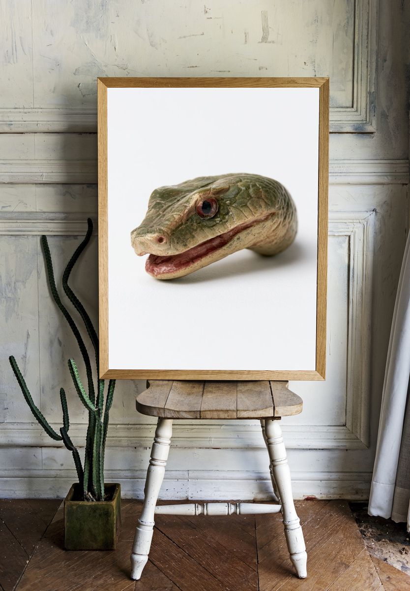 Snake Head Photography Poster. room preview