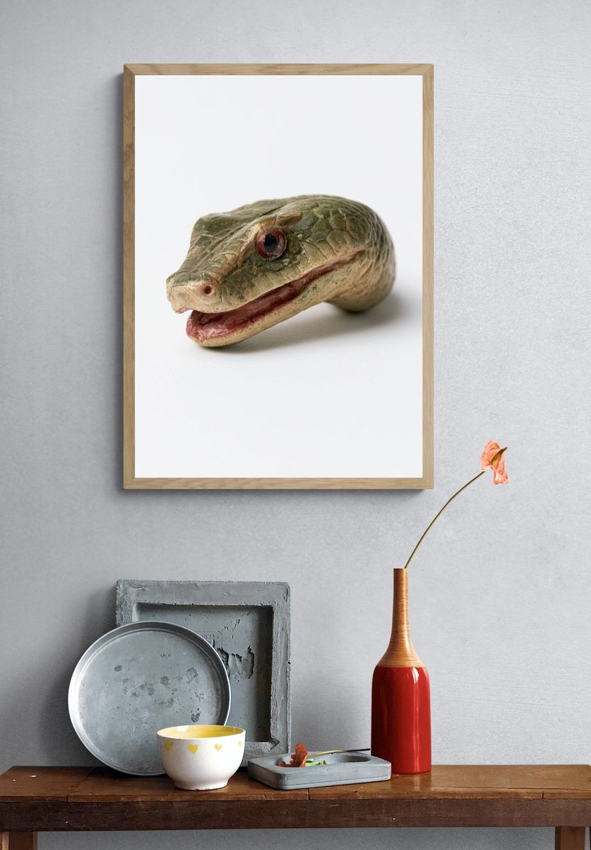 Snake Head Photography Poster. — room view 3