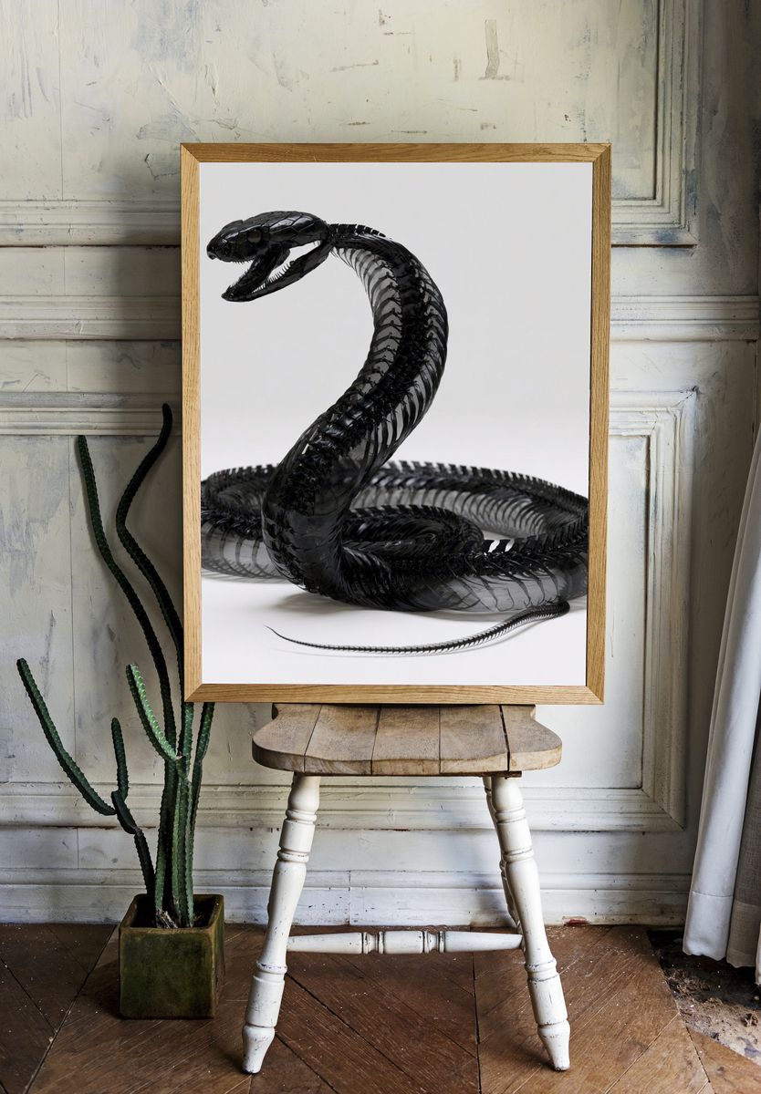 Black Snake Sculpture Poster. room preview