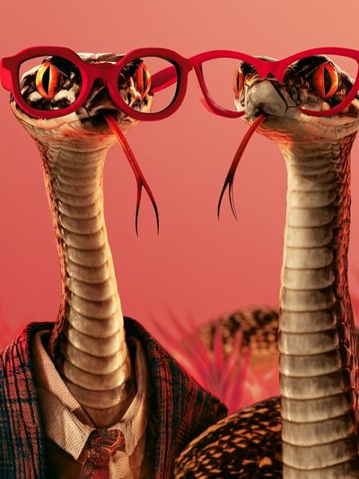 Stylish Snakes Portrait Poster.