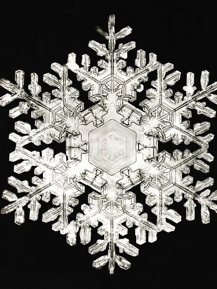 Intricate Snowflake — Nature Print. poster detail