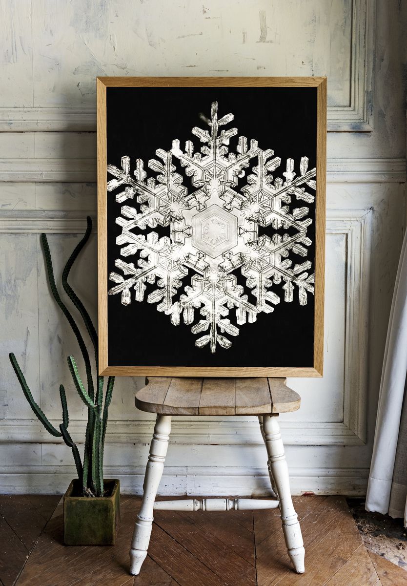 Intricate Snowflake — Nature Print. — room view 1
