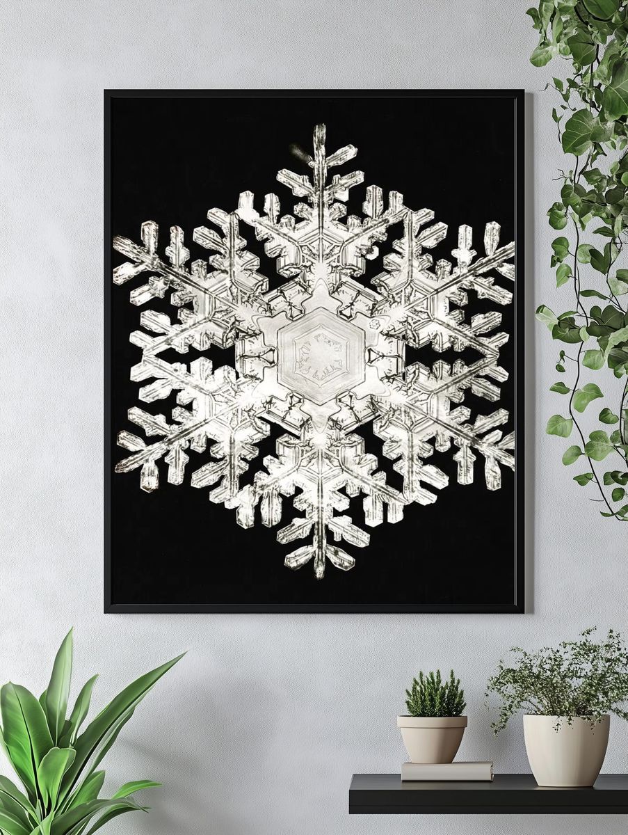 Intricate Snowflake — Nature Print. — room view 4