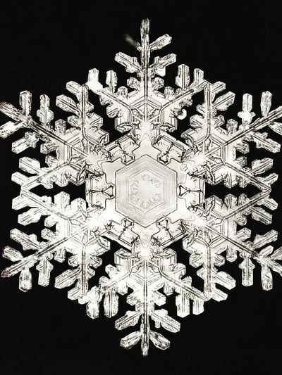 Intricate Snowflake — Nature Print