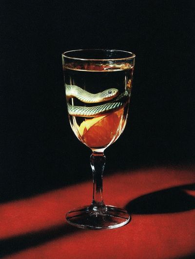 Snake in Glass — Fine Art Print. poster