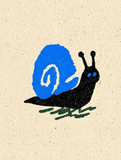 Colorful Snail Illustration Poster. poster