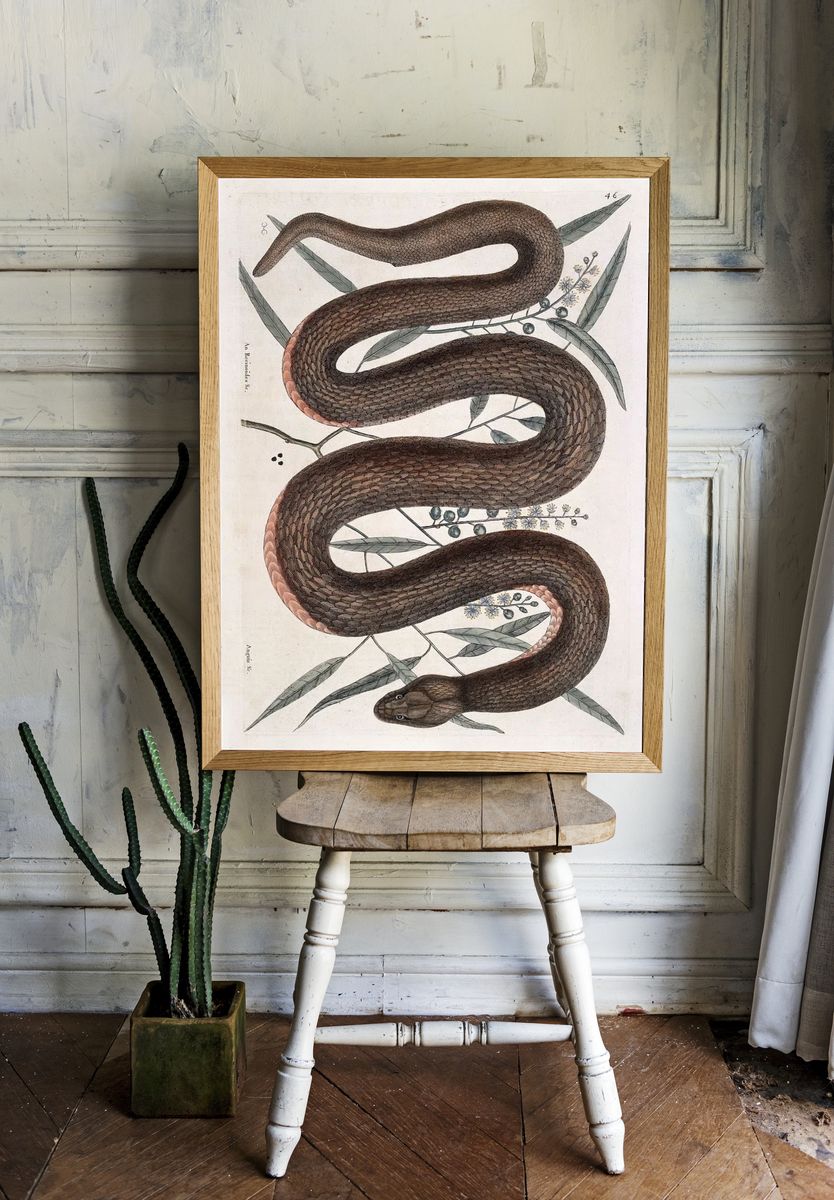 Elegant Snake Botanical Print. — room view 1