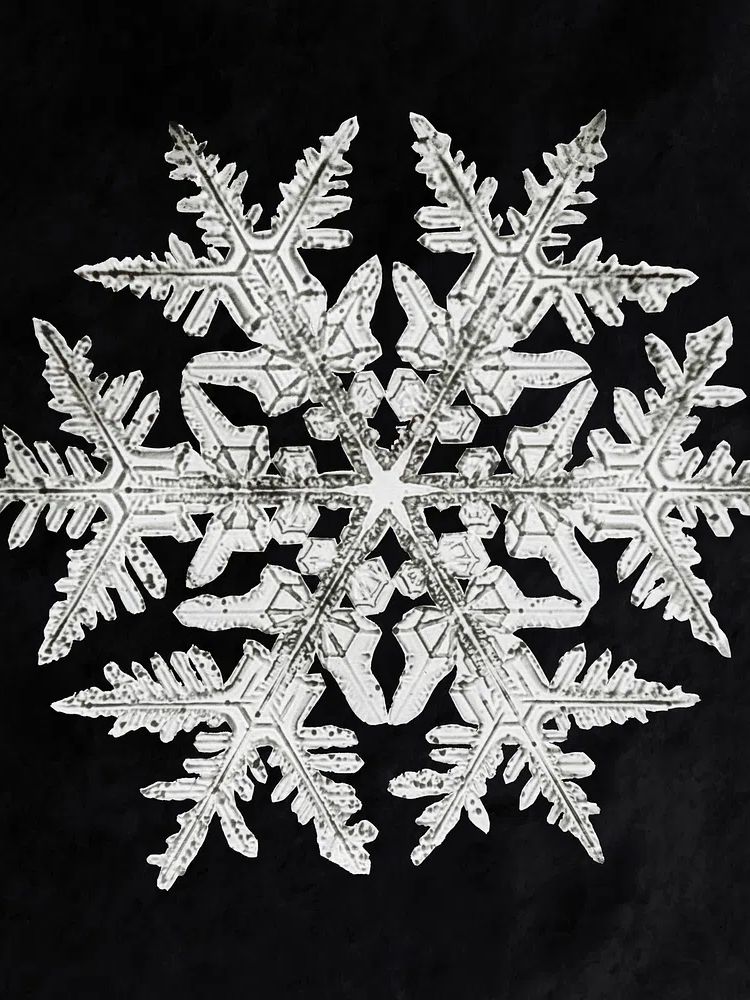 Wilson Bentley's Snowflake 920 (ca. 1890) detailed photograph of snowflakes. poster detail