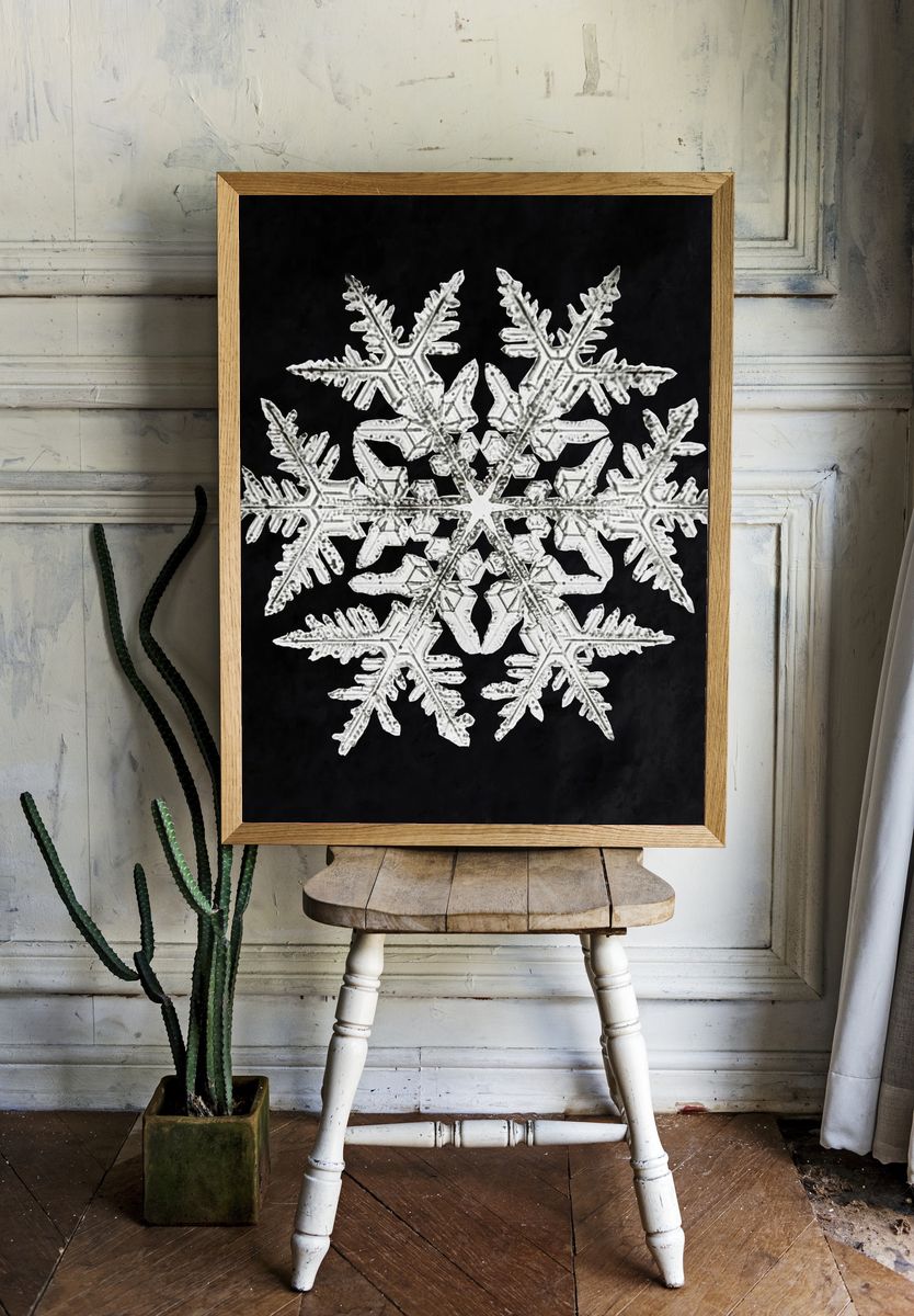Wilson Bentley's Snowflake 920 (ca. room preview