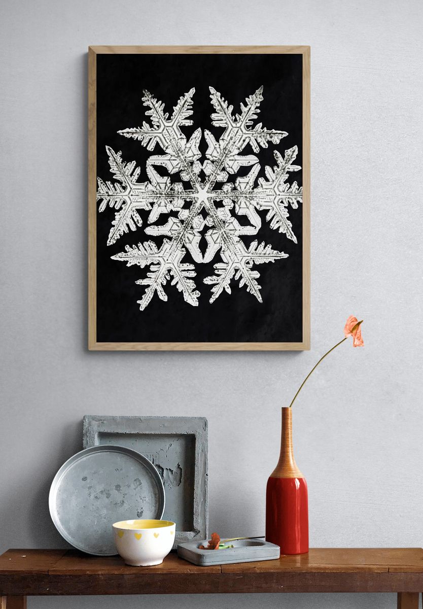 Wilson Bentley's Snowflake 920 (ca. 1890) detailed photograph of snowflakes. — room view 3