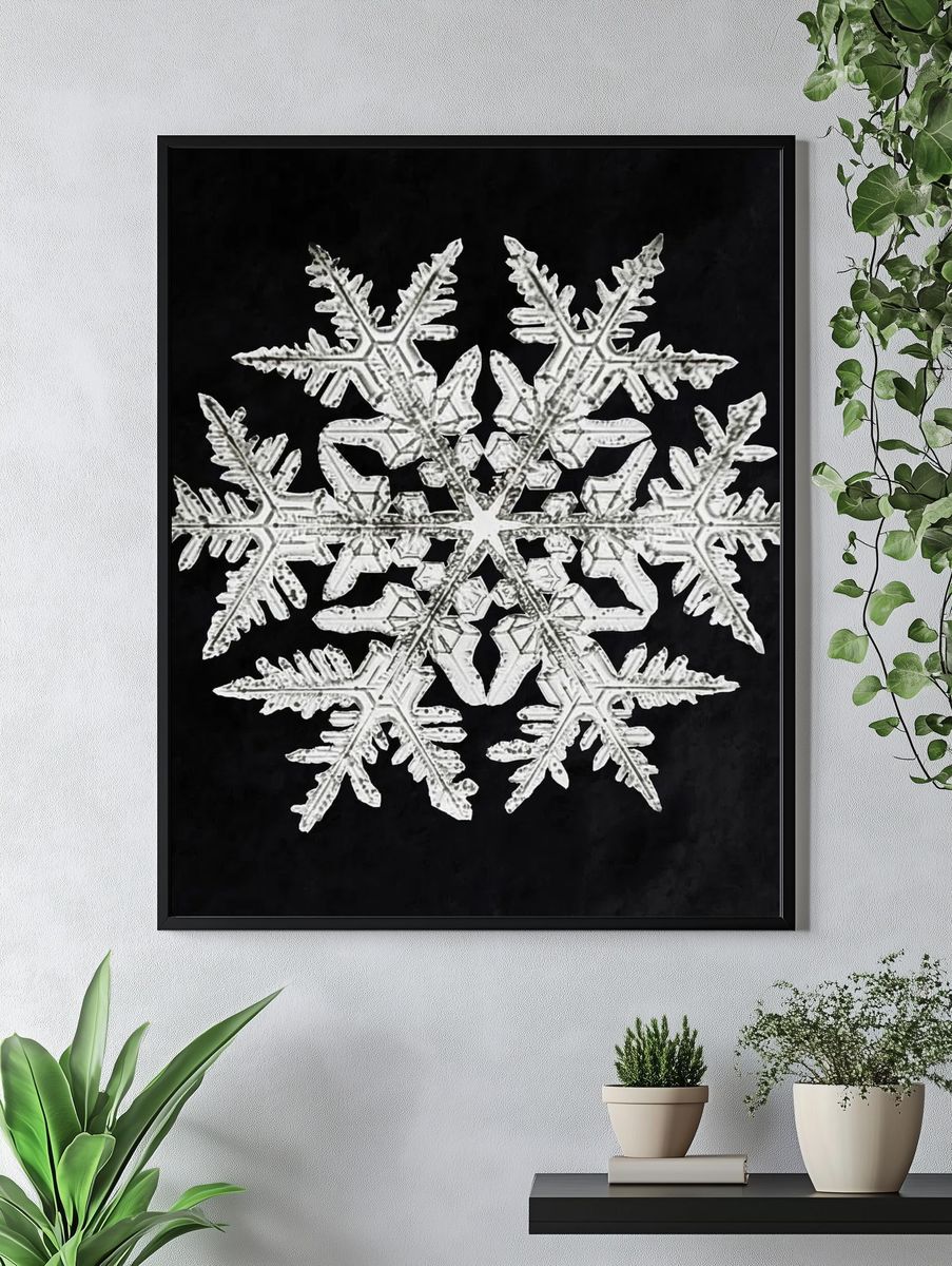 Wilson Bentley's Snowflake 920 (ca. 1890) detailed photograph of snowflakes. — room view 4