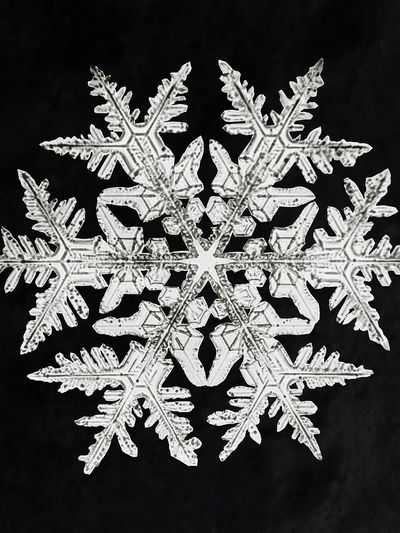 Wilson Bentley's Snowflake 920 (ca.