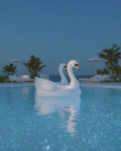 Swan Pool Float — Summer Vibes Print. poster