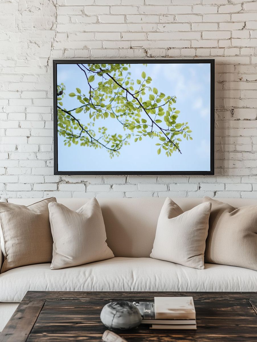 Desktop wallpaper plant leaf, HD. room preview