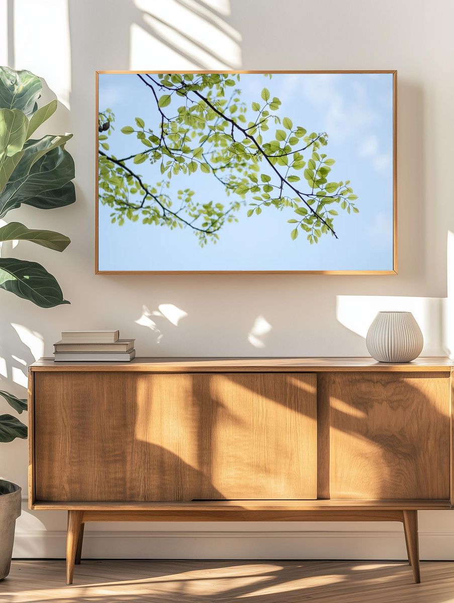 Desktop wallpaper plant leaf, HD. — room view 3