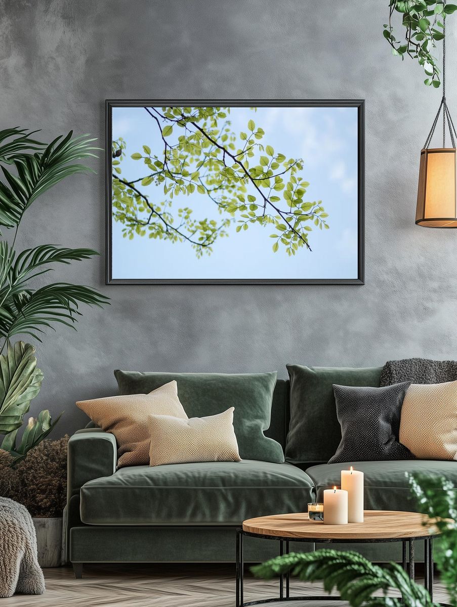 Desktop wallpaper plant leaf, HD. — room view 4