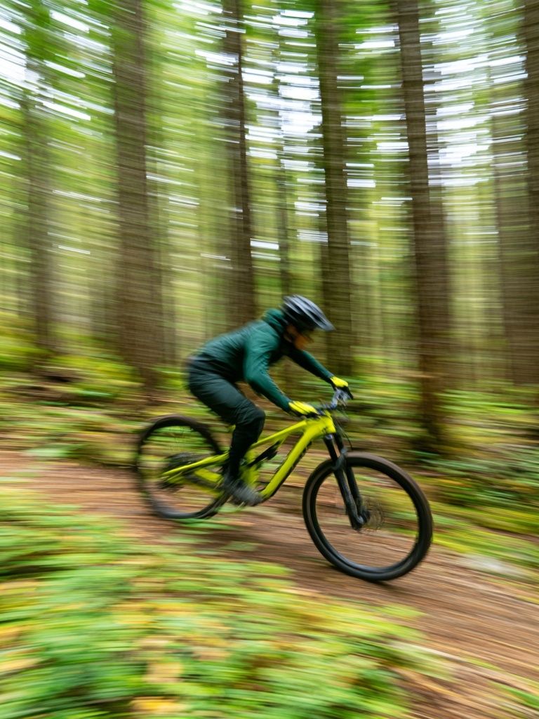 Mountain Bike Forest Motion Poster. poster — sport art