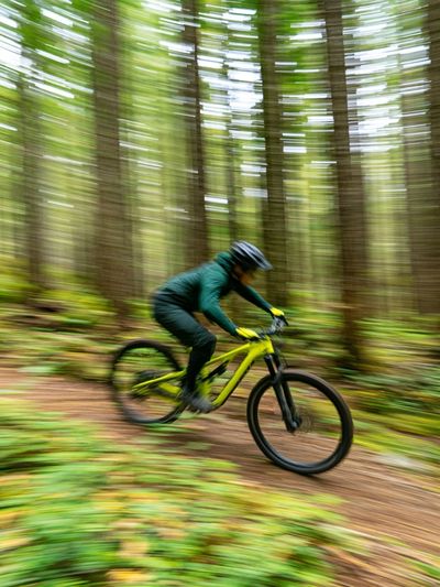 Mountain Bike Forest Motion Poster.
