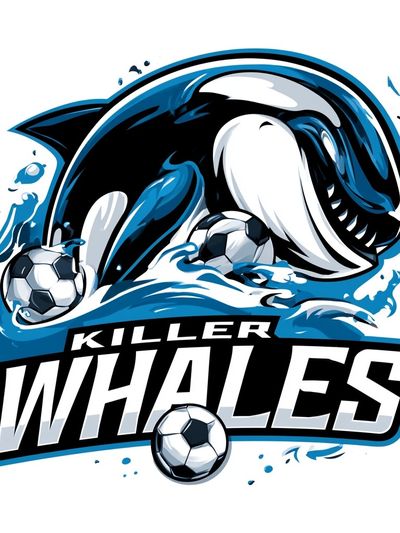 Killer Whales Soccer Poster. poster