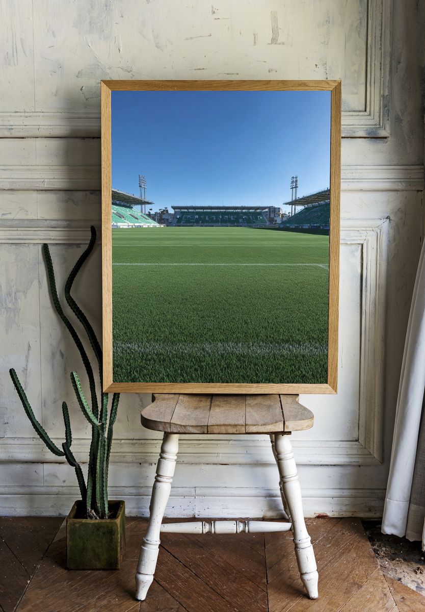 Soccer Stadium Field — Photography Print room preview