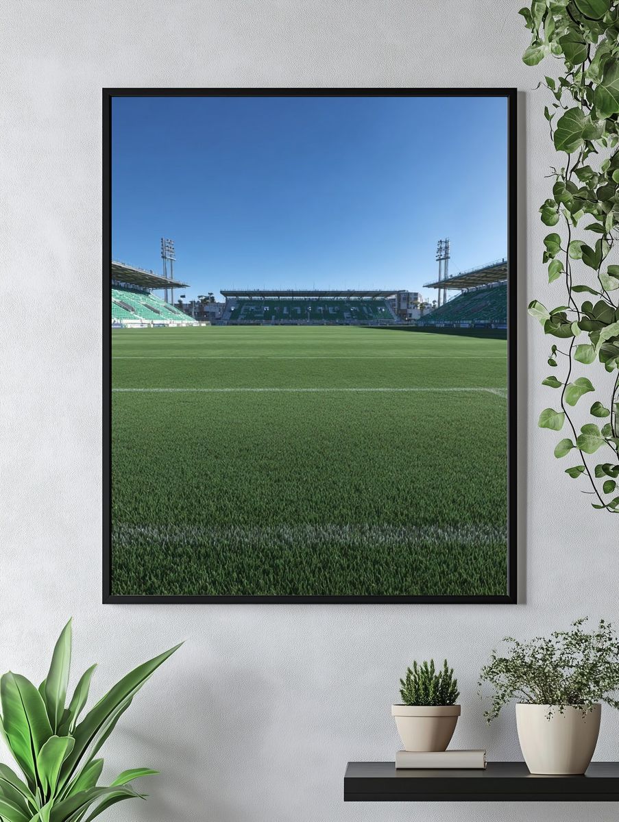 Soccer Stadium Field — Photography Print. — room view 4