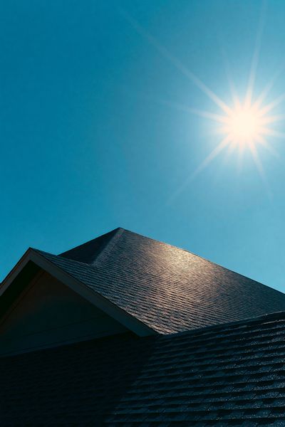 Sunlit Roofline Photography Poster. poster