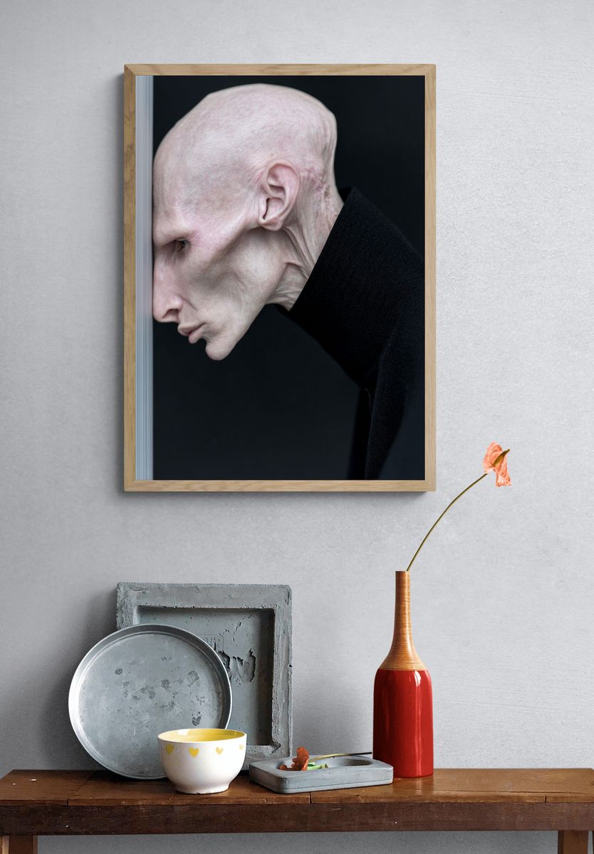 Surreal Bald Portrait Print. — room view 3